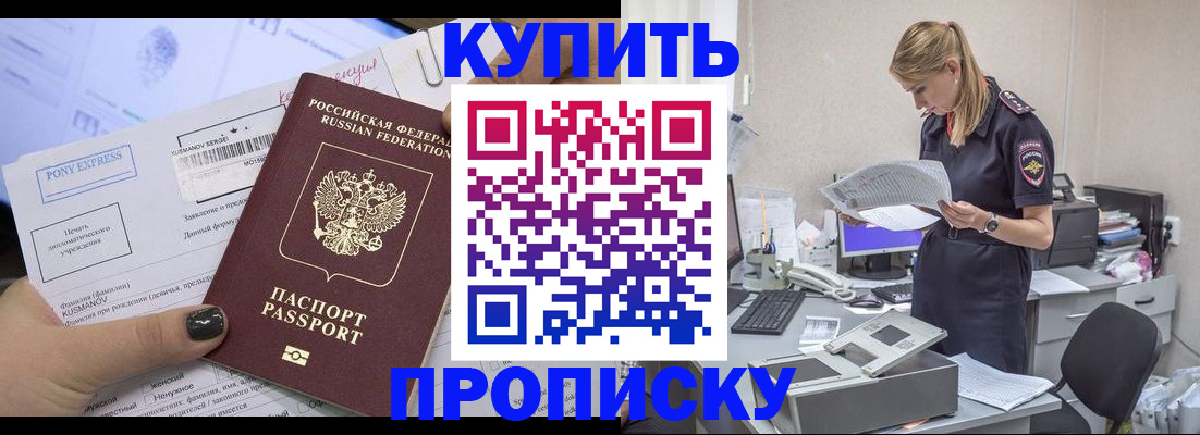 временная регистрация поиск в Долгопрудном